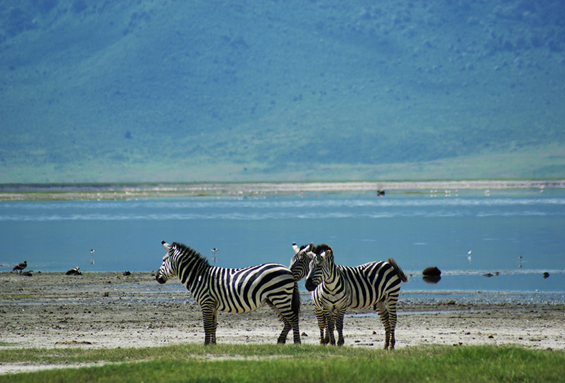 3Days-Tanzania-Camping-Safari