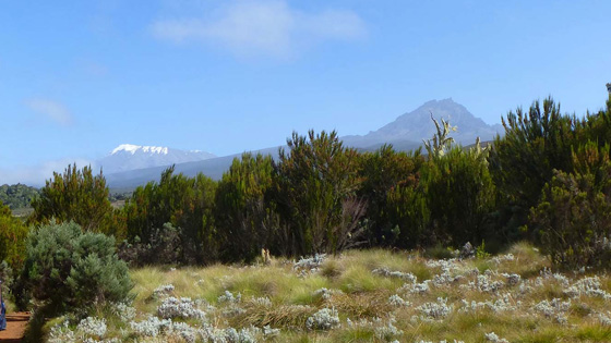 Day-Trip-Excursion-to-Kilimanjaro-Mountain